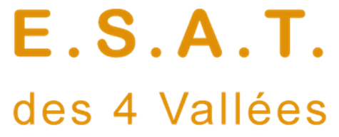 SAJ PRO  et ESAT Albertville